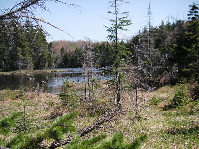 southwest toe of Grout Pond